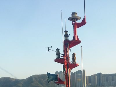 Mast ladder